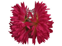 Pink opium double hair flower clips
