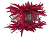Pink dark daisy double hair flower clips