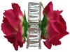 Pink dark rose double hair flower clips