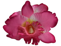Pink orchid double hair flower clips