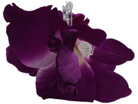 Purple orchid double hair flower clips