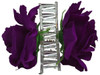 Purple rose double hair flower clips
