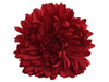 Red opium double hair flower clips