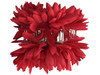 Red opium double hair flower clips