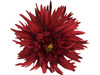 Reddaisy double hair flower clips