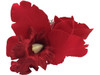 Red orchid double hair flower clips