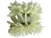 White opium double hair flower clips