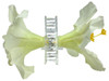 White hibiscus double hair flower clips