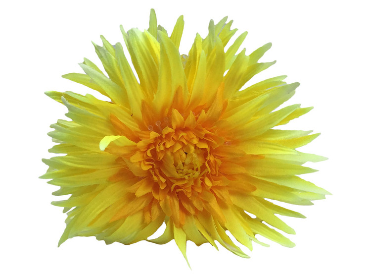 Yellow daisy double hair flower clips