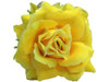 Yellow rose double hair flower clips