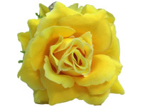 Yellow rose double hair flower clips