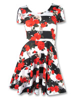 Skulls'N'roses skate dress liquorbrand