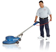 Dinosaur Polishing Services