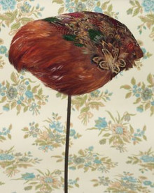 Pheasant feather hat
