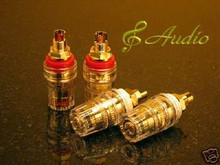 4pcs Professional Gold Plated Short Thread Binding Post