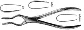 Walsham Septum Straightening Forceps , Right, 33.0Mm X 7.0Mm Flat & 33.0Mm X 9.5Mm Concave Jaws , Length: 9