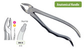 Extraction Forceps Anterior Incisors And Canines #35