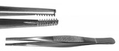 Brown Tissue Forceps , 8X8 Teeth , Length: 8