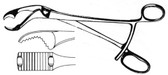 Verbrugge Bone Holding Forceps , With Short Ratchet , Length: 7