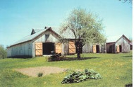 Postcard - Reconstructed barns at Wilder Homestead