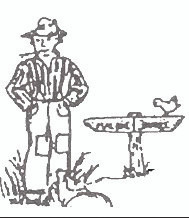 Individual Membership