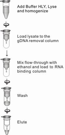 biomiga-rna-from-tissue-purification-protocol.jpg