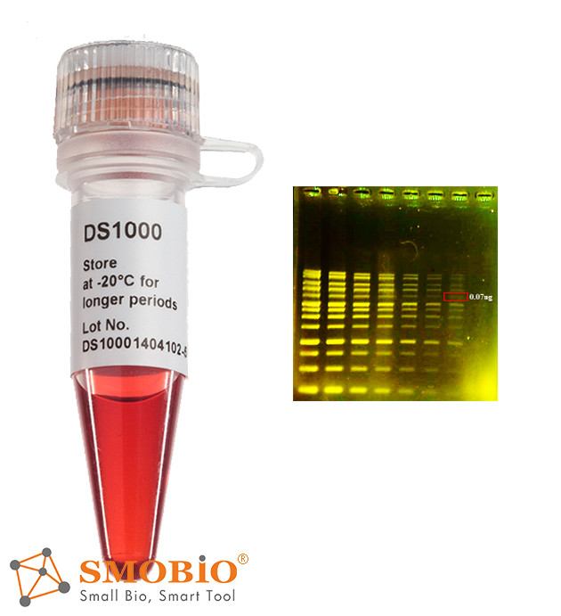 DNA Fluorescent dye for staining