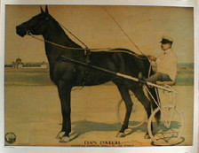 Dan Patch race horse print