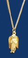 St. Raphael Medal