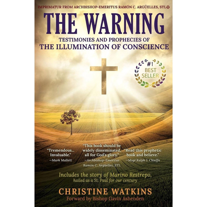 The Warning: Testimonies and Prophecies of the Illumination of Conscience by Christine Watkins book cover