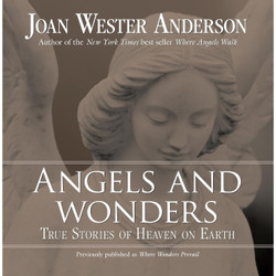 Angels and Wonders: True Stories of Heaven on Earth by Joan Wester Anderson book cover
