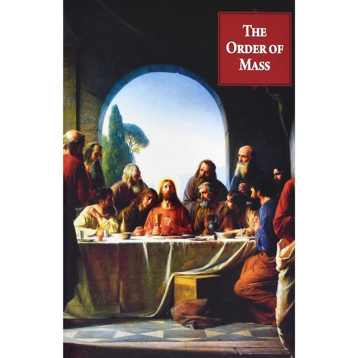 The Order of Mass by Victor Hoagland book cover