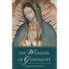 The Wonder of Guadalupe by Francis Johnston book cover