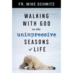 Walking with God in the Unimpressive Seasons of Life by Fr. Mike Schmitz book cover