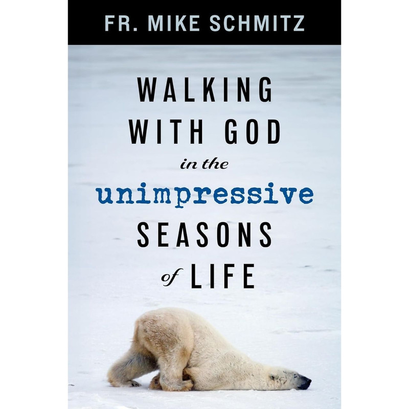 Walking with God in the Unimpressive Seasons of Life by Fr. Mike Schmitz book cover