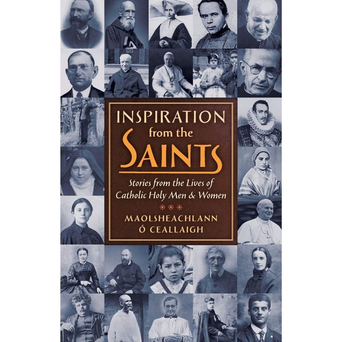 Inspiration from the Saints by Maolsheachlann O'Ceallaigh book cover