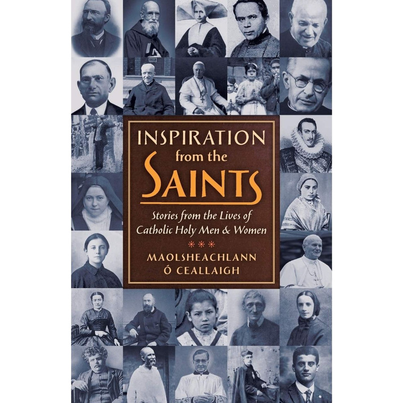 Inspiration from the Saints by Maolsheachlann O'Ceallaigh book cover