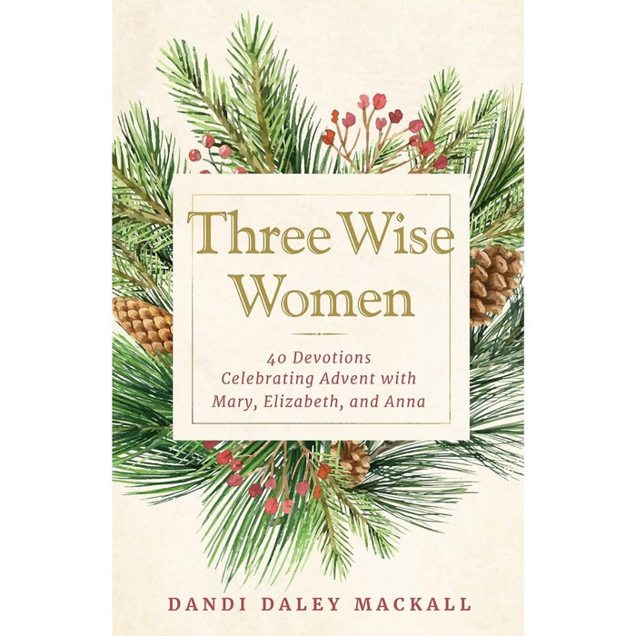 Three Wise Women by Dandi Daley Mackall book cover