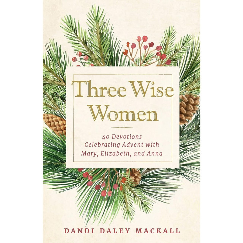 Three Wise Women by Dandi Daley Mackall book cover
