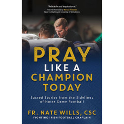 Pray Like a Champion Today book cover