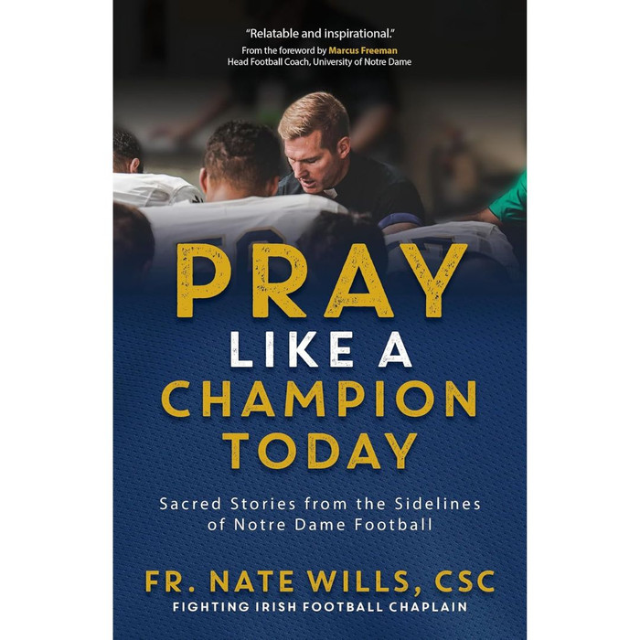 Pray Like a Champion Today book cover