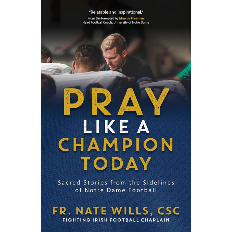 Pray Like a Champion Today book cover