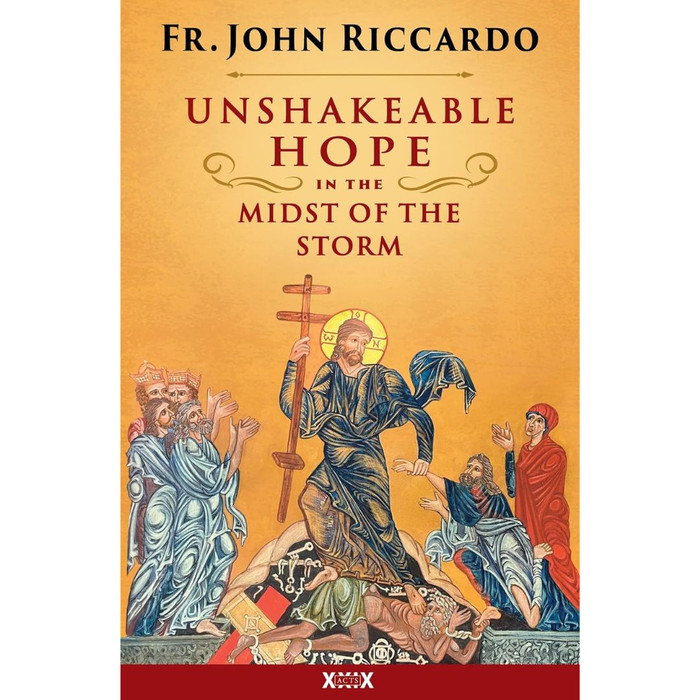 Unshakeable Hope in the Midst of the Storm by by John Riccardo