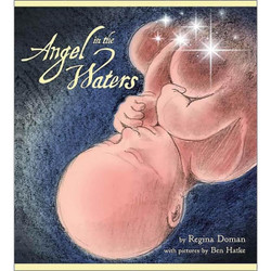 Angel in the Waters by Regina Doman book cover