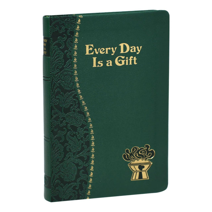 Every Day Is a Gift by Frederick Schroeder book cover
