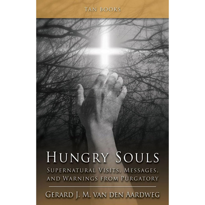 Hungry Souls: Supernatural Visits, Messages, and Warnings from Purgatory by Gerard Van Den Aardweg book cover