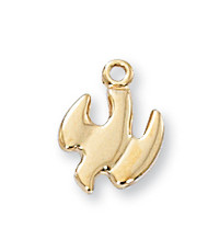 HOLY SPIRIT MEDAL J423