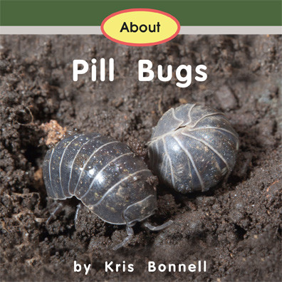 Pill Bugs Up Close by Greg Pyers