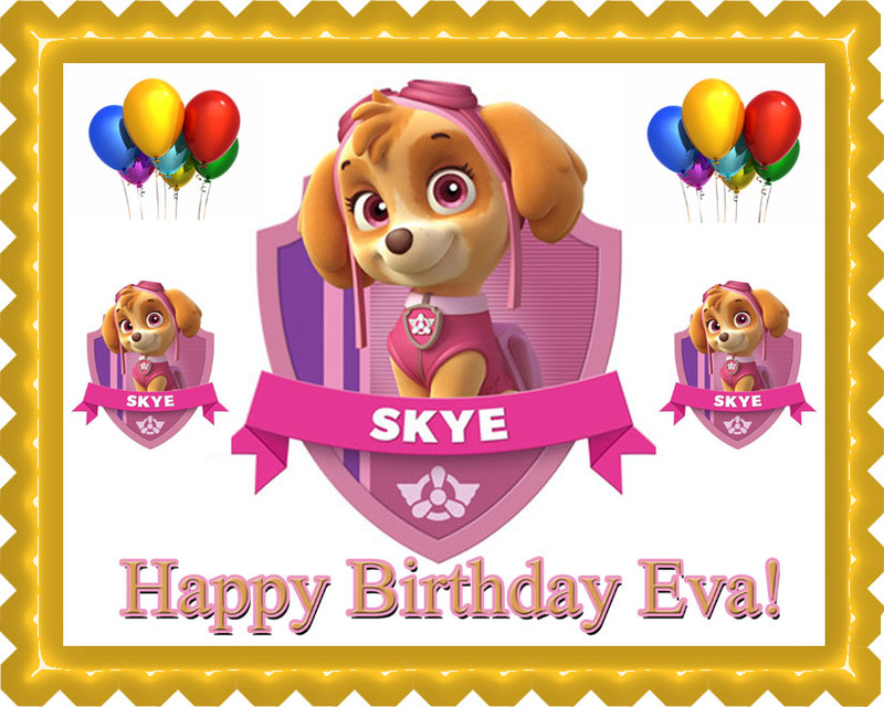 skye paw patrol birthday skye paw patrol birthday
