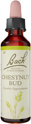 Bach Original Flower Remedies Chestnut Bud 20ml